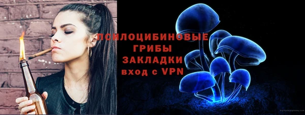 кокс Арсеньев