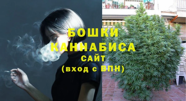 Альфа ПВП Аркадак