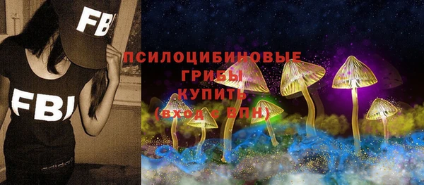 кокс Арсеньев