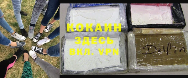 Альфа ПВП Аркадак